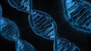 What is Functional Medicine-DNA